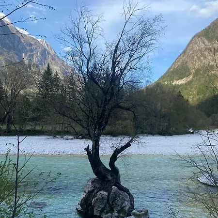 Edi App Center-free Parking & Mountain View Apartma Bovec